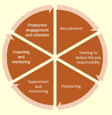 Business Consulting